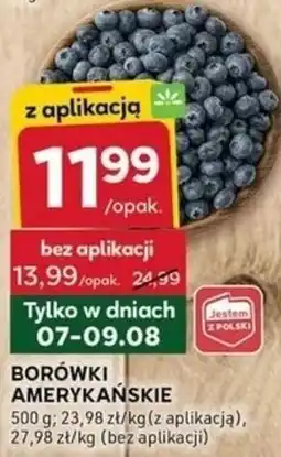 Stokrotka Optima BORÓWKI AMERYKAŃSKIE oferta
