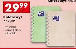 Biedronka Kołozeszyt a4/80 kartek Oxford oferta