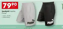 Biedronka Spodenki męskie rozm. m-xxl Puma oferta