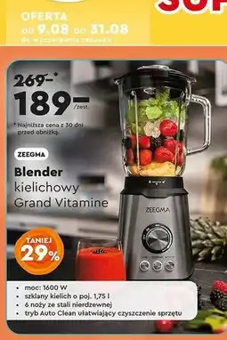 Biedronka Blender kielichowy vitamine Zeegma oferta
