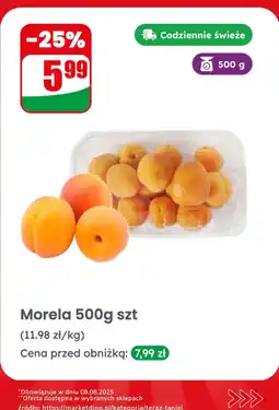 Dino Morela 1 opak. Dino oferta