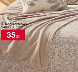 Woolworth Koc oferta