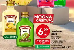 Żabka Absolwent oferta