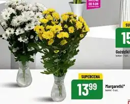 Polomarket Bukiet kwiatów oferta