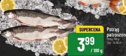 Polomarket Pstrąg Mirko oferta