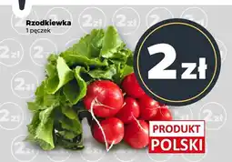 Netto Rzodkiewka 1 pęczek Netto oferta