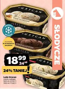 Netto Lody Grycan różne rodzaje oferta