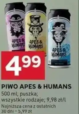 Stokrotka Optima PIWO APES & HUMANS oferta