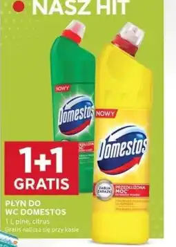 Stokrotka Optima PŁYN DO WC DOMESTOS oferta