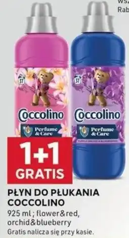 Stokrotka Optima PŁYN DO PŁUKANIA COCCOLINO oferta