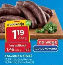 Stokrotka Optima KASZANKA KRZYŚ oferta