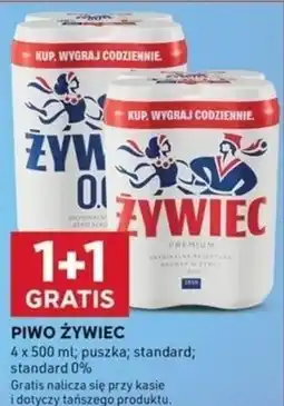 Stokrotka Optima PIWO ŻYWIEC oferta