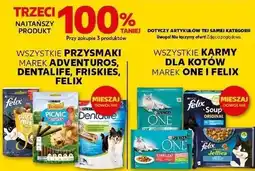 Kaufland Karma dla kota sterilcat z wołowiną i pszenicą Purina One oferta