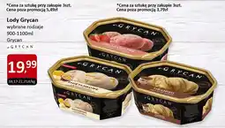 Market Point Lody Grycan oferta
