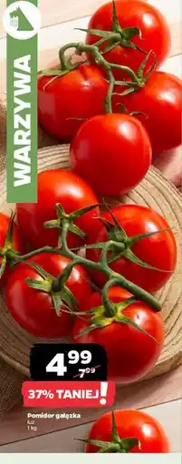 Netto Pomidory gałązka oferta