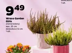 Netto Wrzos garden girls oferta