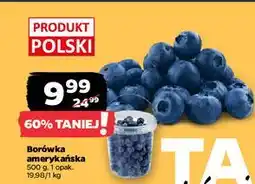 Netto Borówki amerykańskie polska oferta