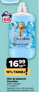 Netto Płyn do płukania blue splash Coccolino Fresh & Soft oferta