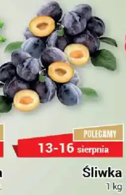 Premium Nasz Sklep Śliwka oferta