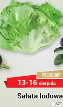 Premium Nasz Sklep Sałata lodowa oferta