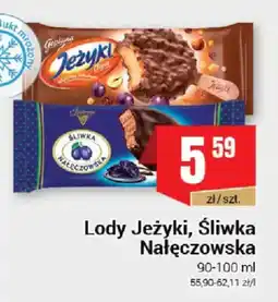 Premium Nasz Sklep Lody Jeżyki, Śliwka Nałęczowska oferta