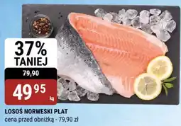 bi1 ŁOSOŚ NORWESKI PŁAT oferta