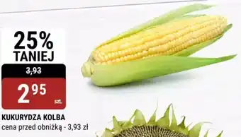 bi1 KUKURYDZA KOLBA oferta