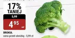 bi1 BROKUŁ oferta