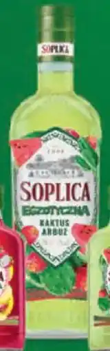 Eurocash Cash & Carry Napoj spirytusowy 21% soplica oferta
