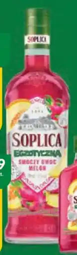 Eurocash Cash & Carry Napój spirytusowy 21% soplica oferta