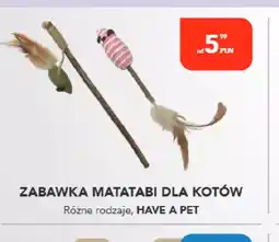 AquaelZOO Zabawka Matatabi dla kotów oferta