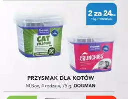 AquaelZOO Przysmak dla kotów oferta