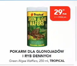 AquaelZOO Pokarm dla glonojadów i ryb dennych oferta