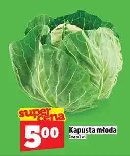 Topaz Kapusta młoda TOPAZ oferta