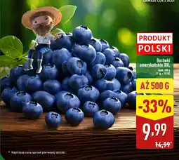 ALDI Borówki amerykańskie XXL Aldi oferta