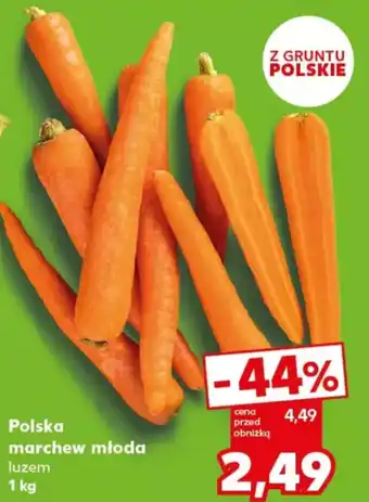 Kaufland Polska marchew młoda oferta