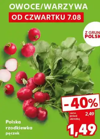 Kaufland Polska rzodkiewka oferta