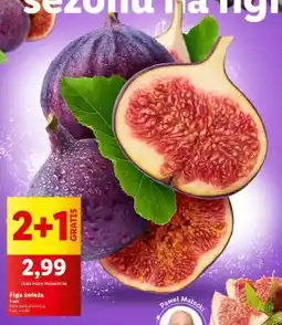 Lidl Figa Świeża oferta
