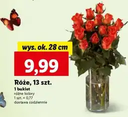 Lidl Róże, 13 szt oferta