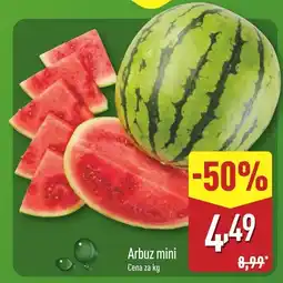 ALDI Arbuz mini Aldi oferta