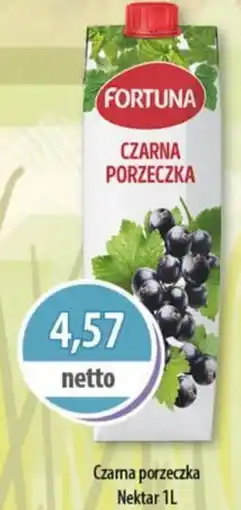 DUO-TES Czarna porzeczka Nektar oferta