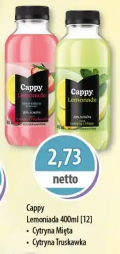 DUO-TES Cappy Lemoniada oferta