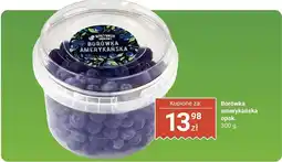 Biedronka Borówka amerykańska Warzywniak owocowy oferta