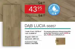 Abra DĄB LUCIA 66857 oferta