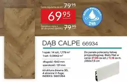 Abra DĄB CALPE 66934 oferta