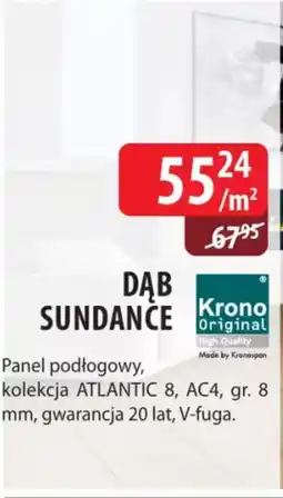 DDD DĄB SUNDANCE oferta