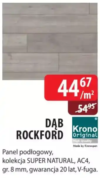 DDD DĄB ROCKFORD oferta