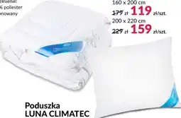 Agata Meble Poduszka Luna oferta