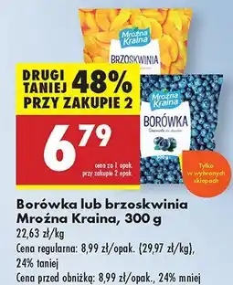 Biedronka Mrożone borówki Mroźna Kraina oferta