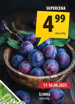 Arhelan Śliwka Arhelan oferta
